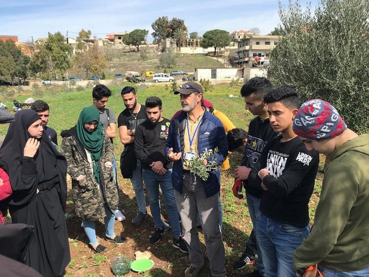 Los agricultores libaneses reciben apoyo para mejorar el cultivo del olivo