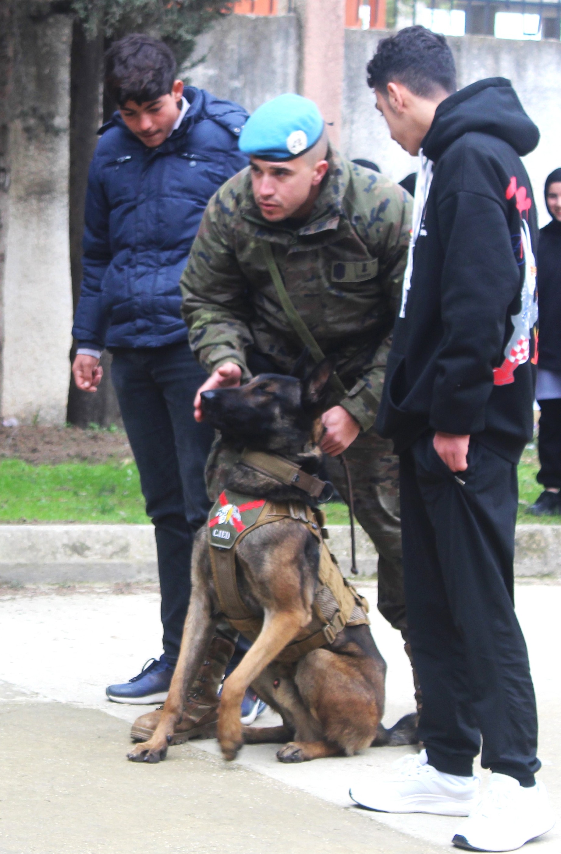 Equipo cinológico