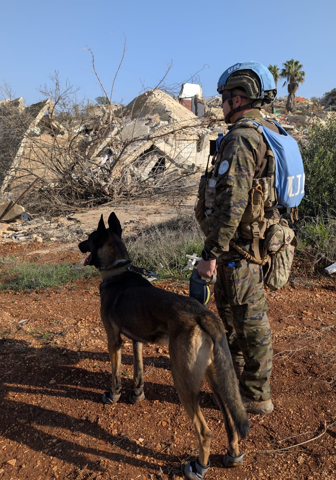 Equipo cinológico 'K9'