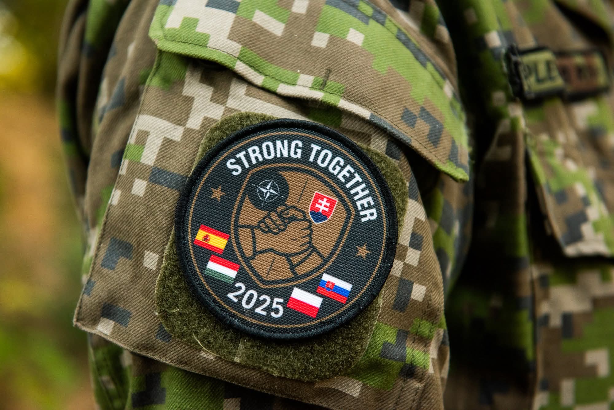 Distintivo conmemorativo