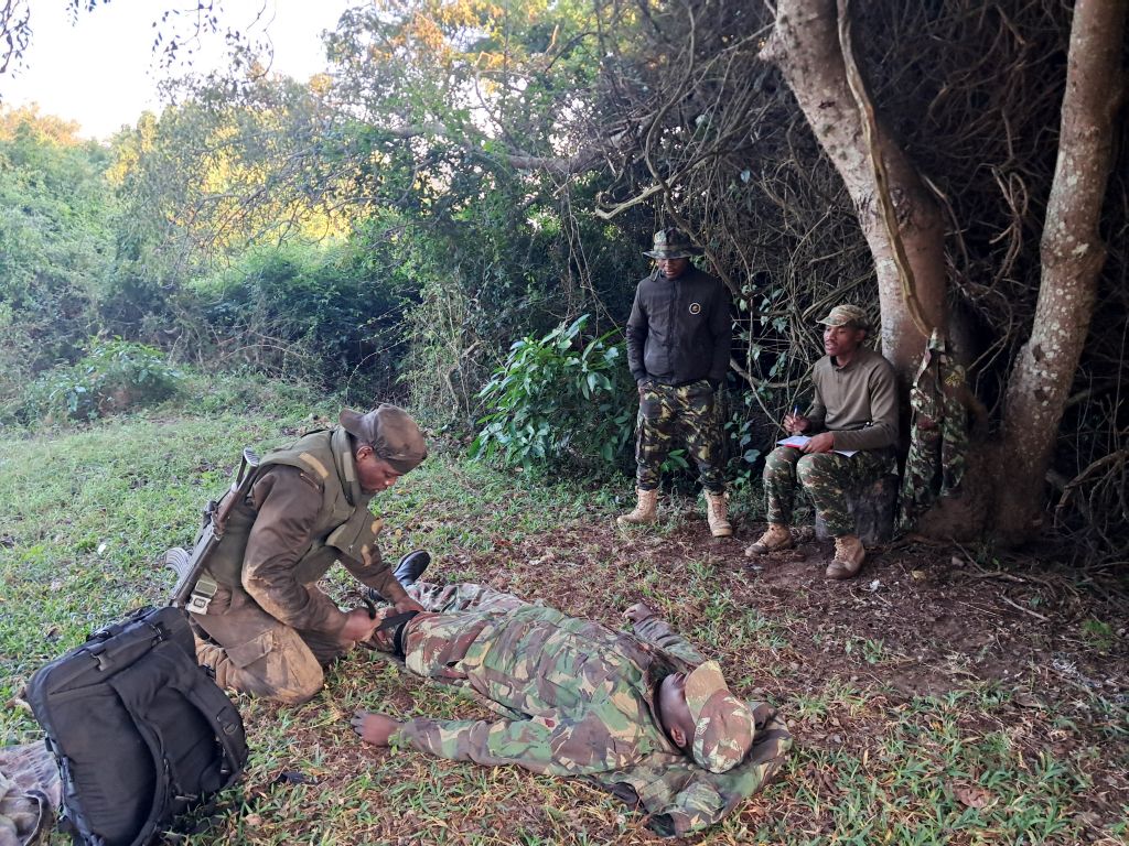 Actividad de primeros auxilios durante la fase de instrucción