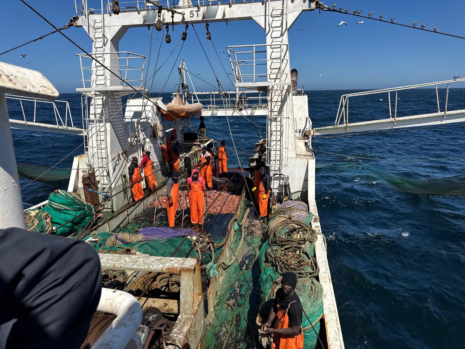 Operaciones de visita a buques de vinculación nacional o capitaneados por españoles