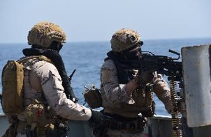 Ejercicios de adiestramiento realizados durante la OPVD