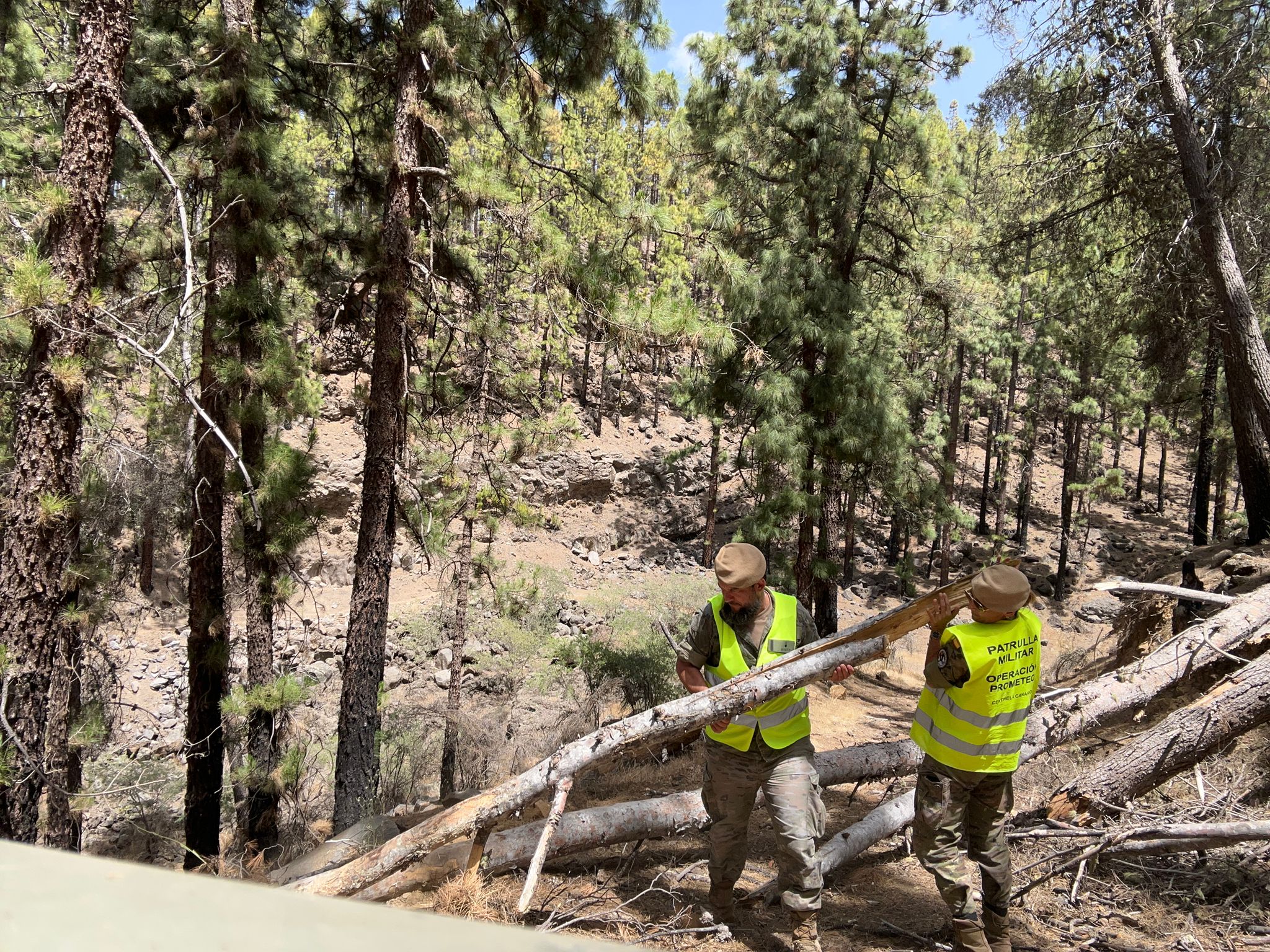 Patrullas en los montes tinerfeños