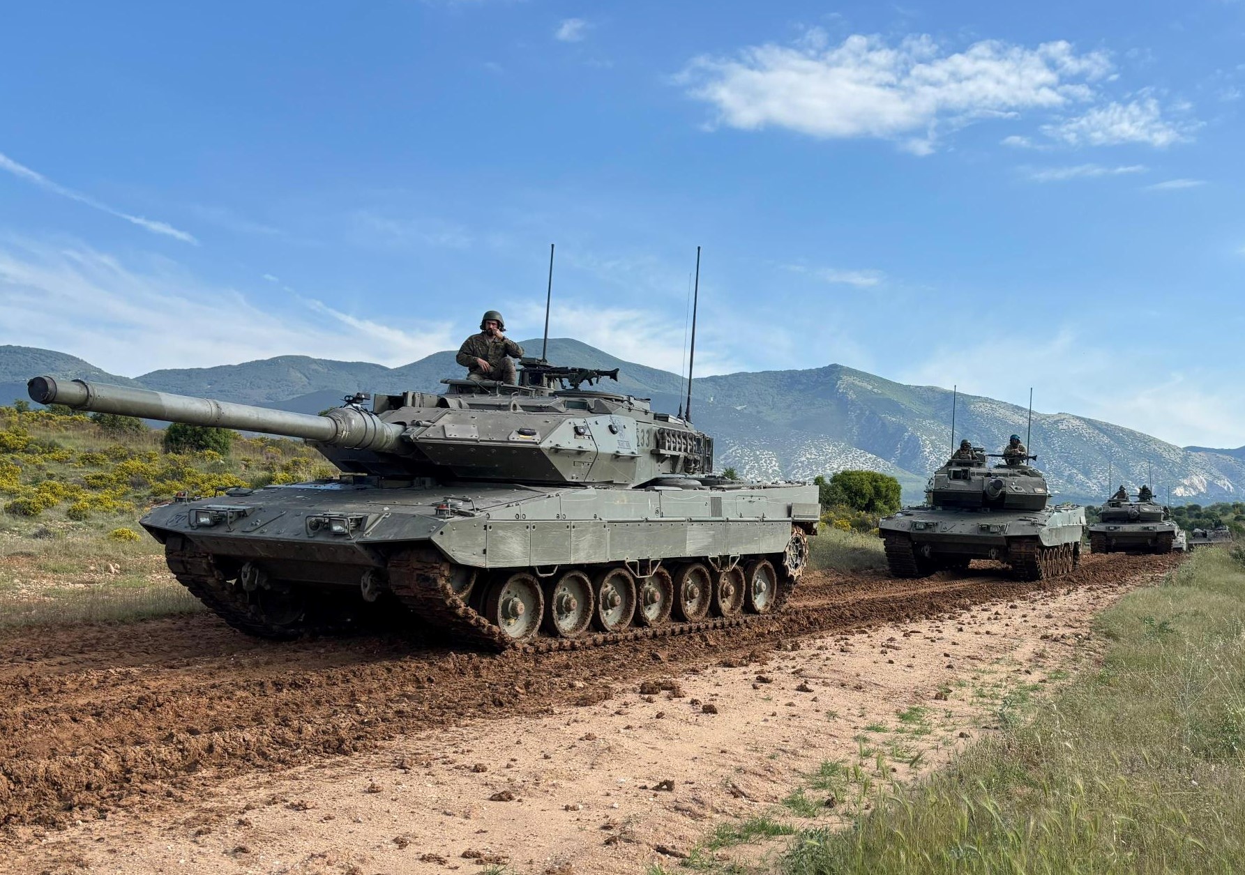 arros de Combate Leopard