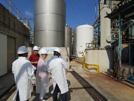 Firma del informe de inspección