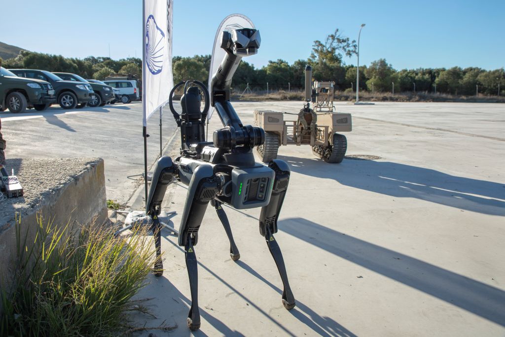 Nuevas capacidades utilizadas durante el ejercicio