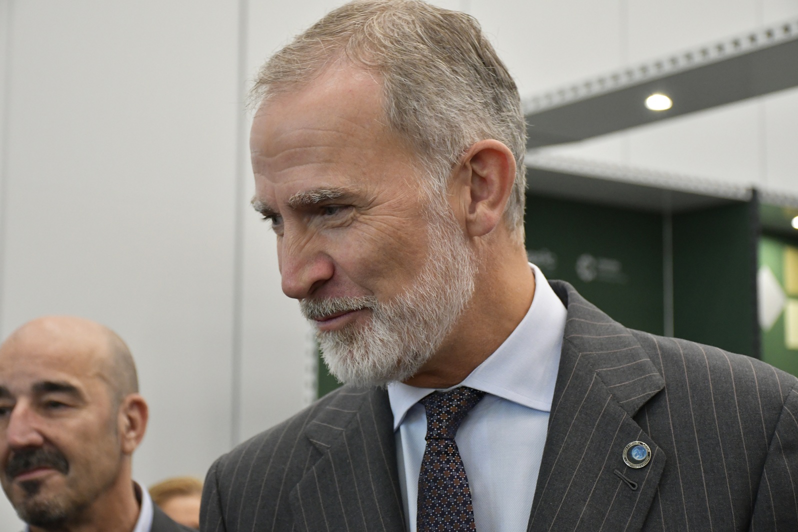 Felipe VI, con la imagen del Mando en la solapa