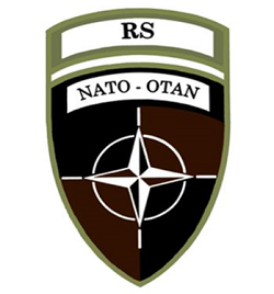 NATO's Resolute Support patch