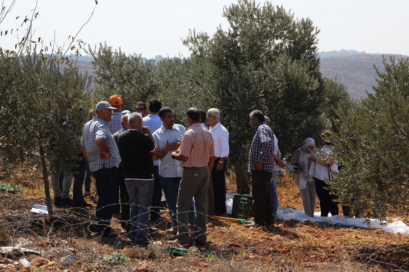 La BRILIB acoge el programa Almazara de apoyo a los agricultores libaneses