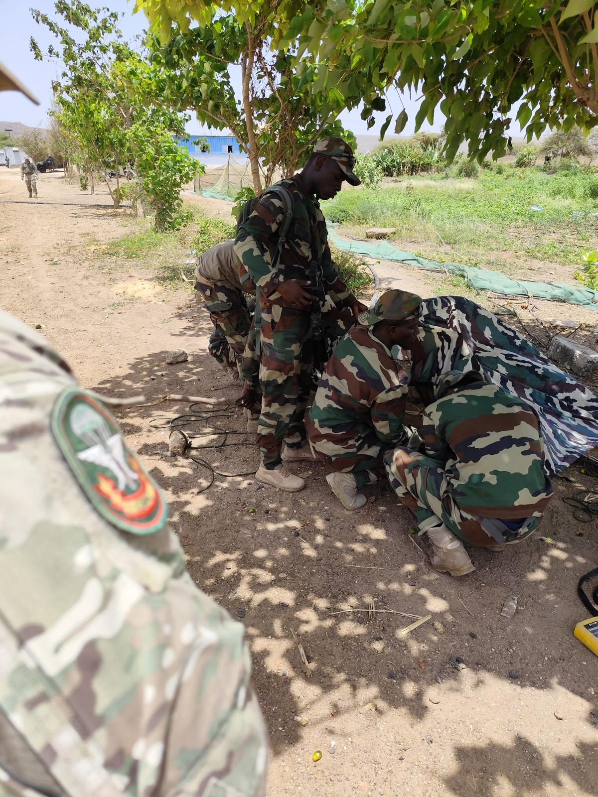 Shelter Setup Training