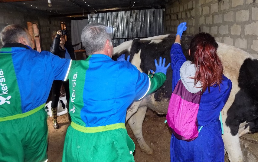 La BRILIB-XXX apoya a los ganaderos del sur de Líbano con el programa ‘Rocinante’