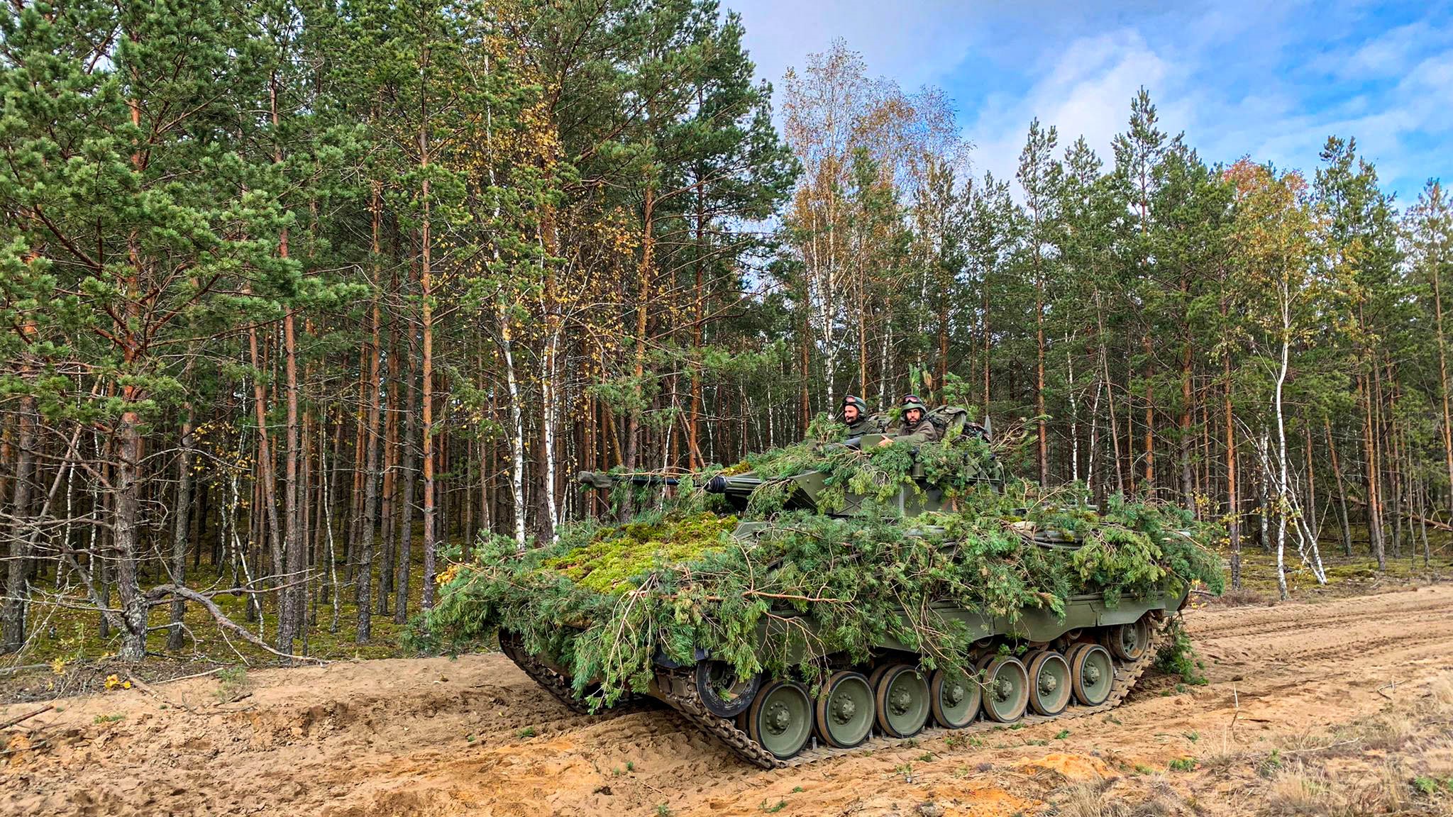 Infantry Fighting Vehicle (IFV) camouflaged with branches.