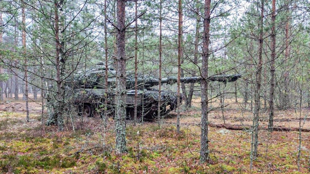 A Spanish 'Leopard' MBT in a forest