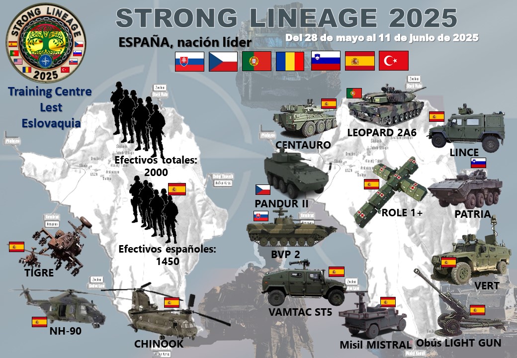 Personal infographics and media STLI25