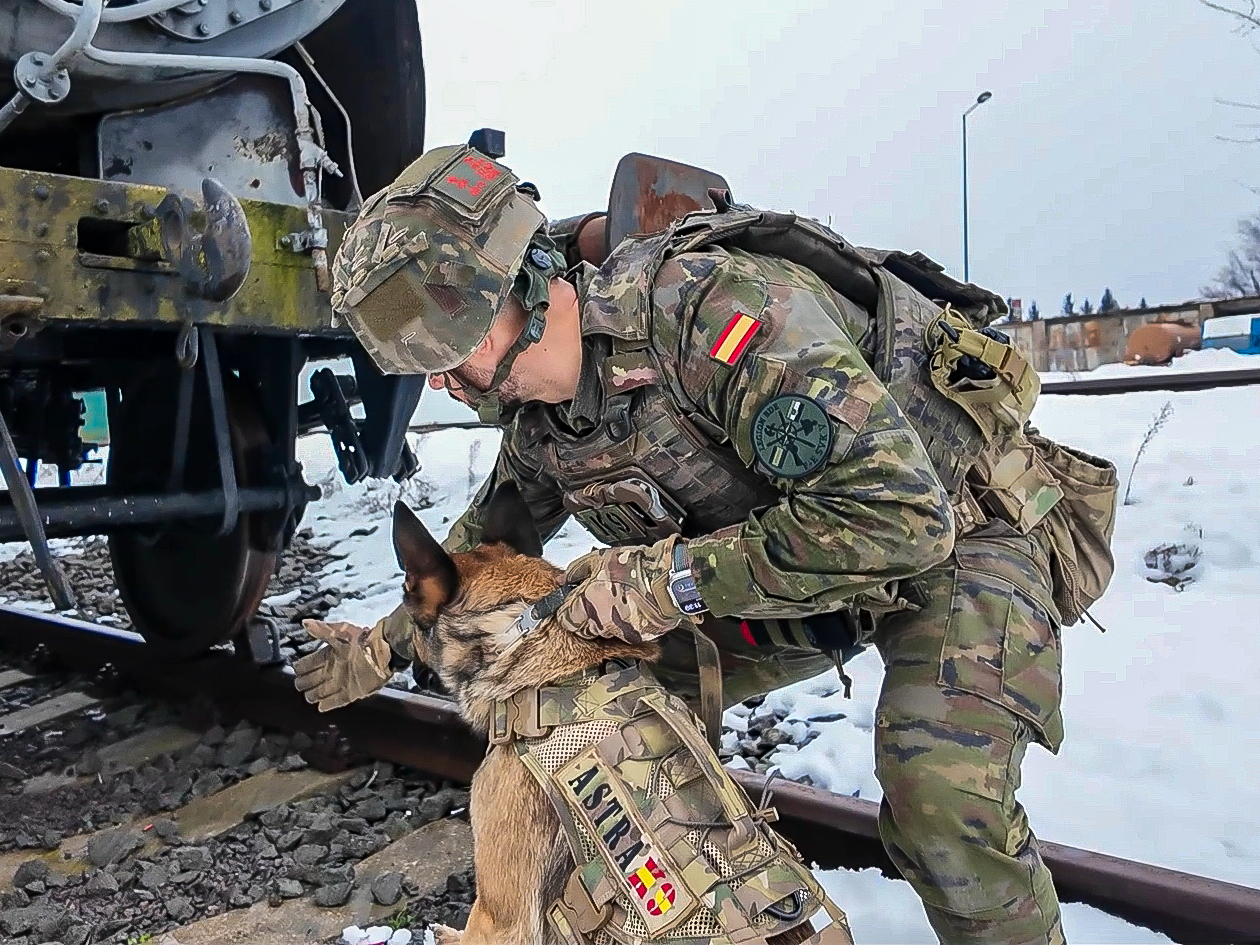 Canine team conducting explosive detection training