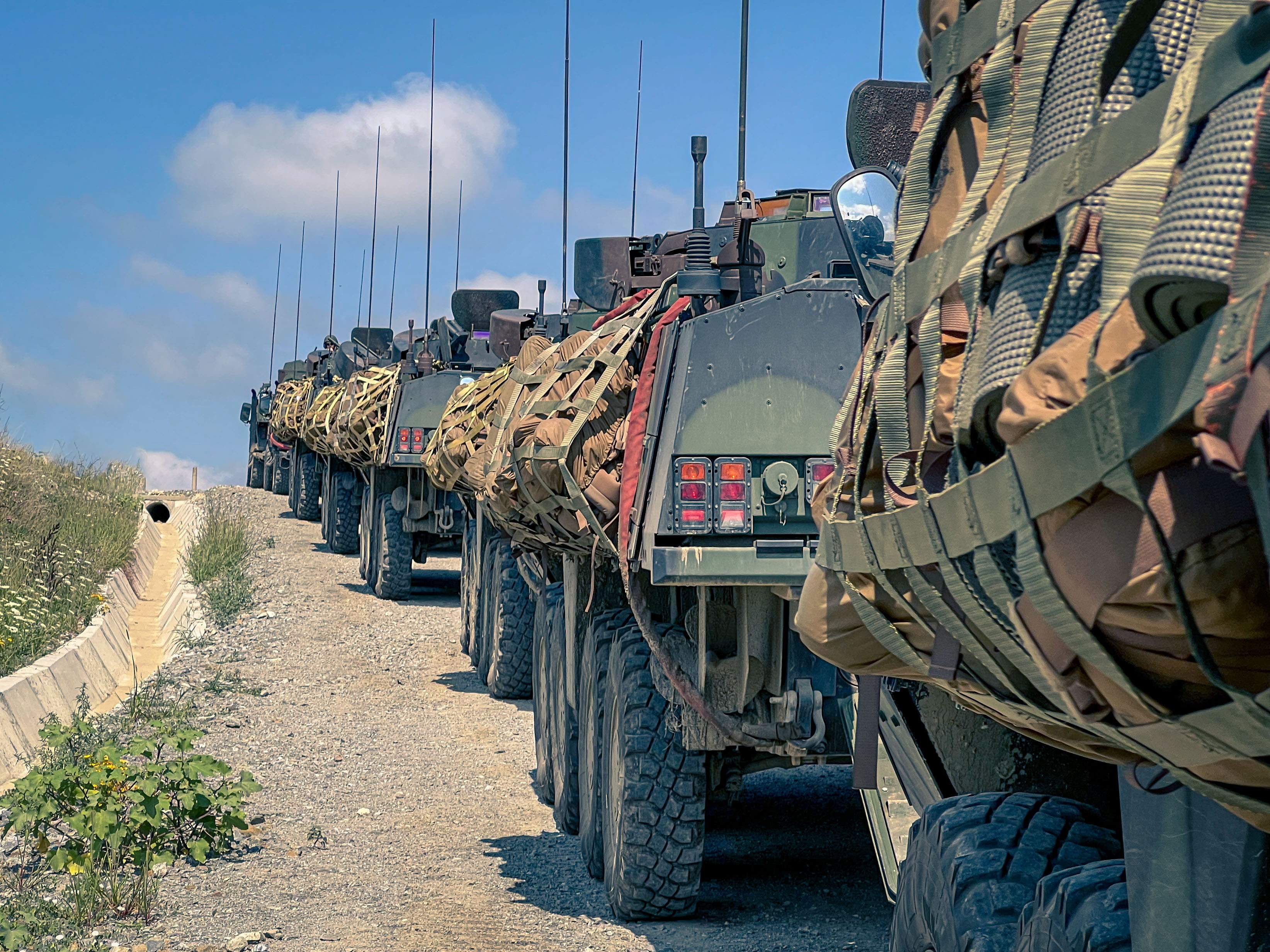 Tank line of Piranha armoured vehicles.