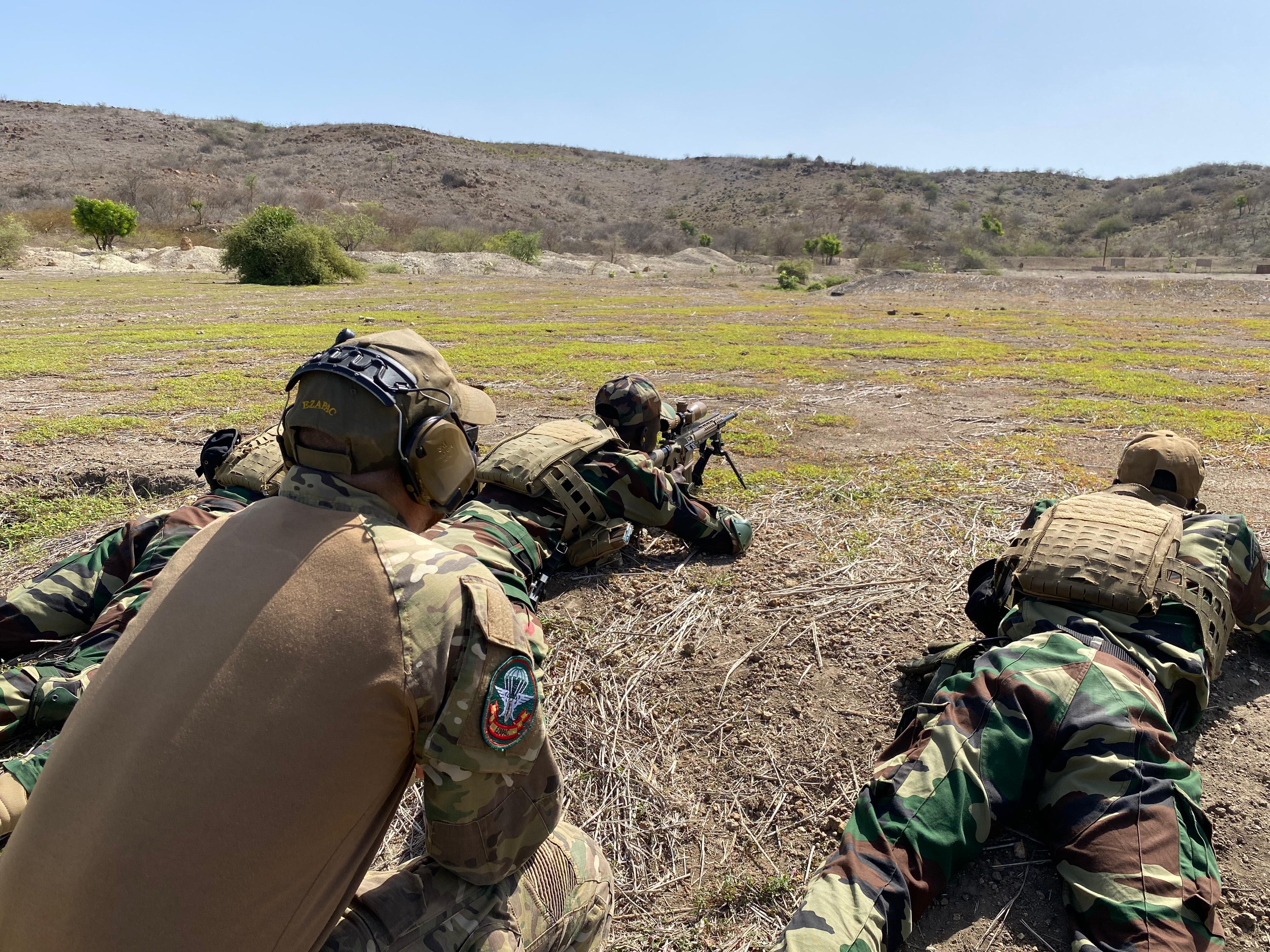 Tiradores de precisión de la FSA