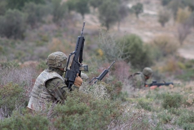 Fire and movement in pairs