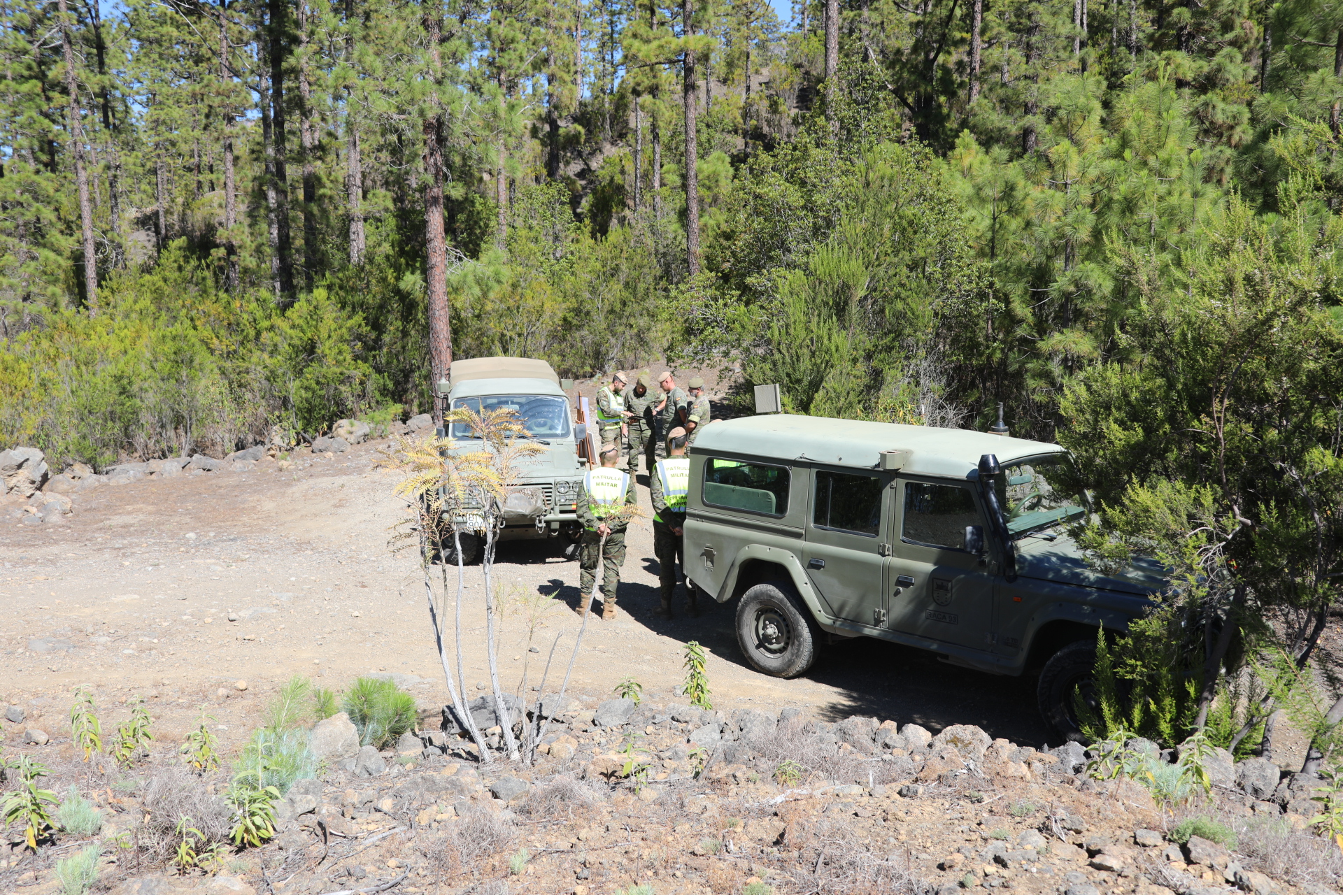 Patrol vehicles.