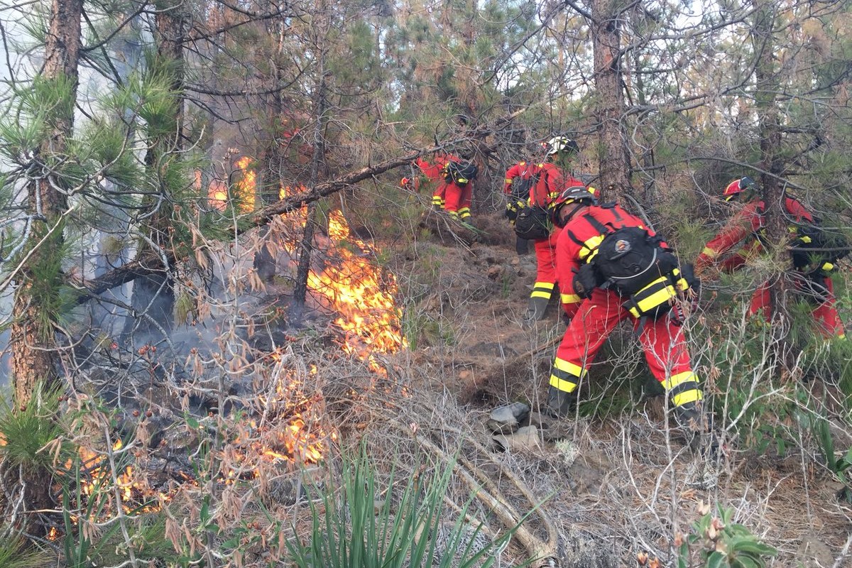 La Unidad Militar de Emergencias colabora en la extinción del incendio forestal declarado en Tenerife