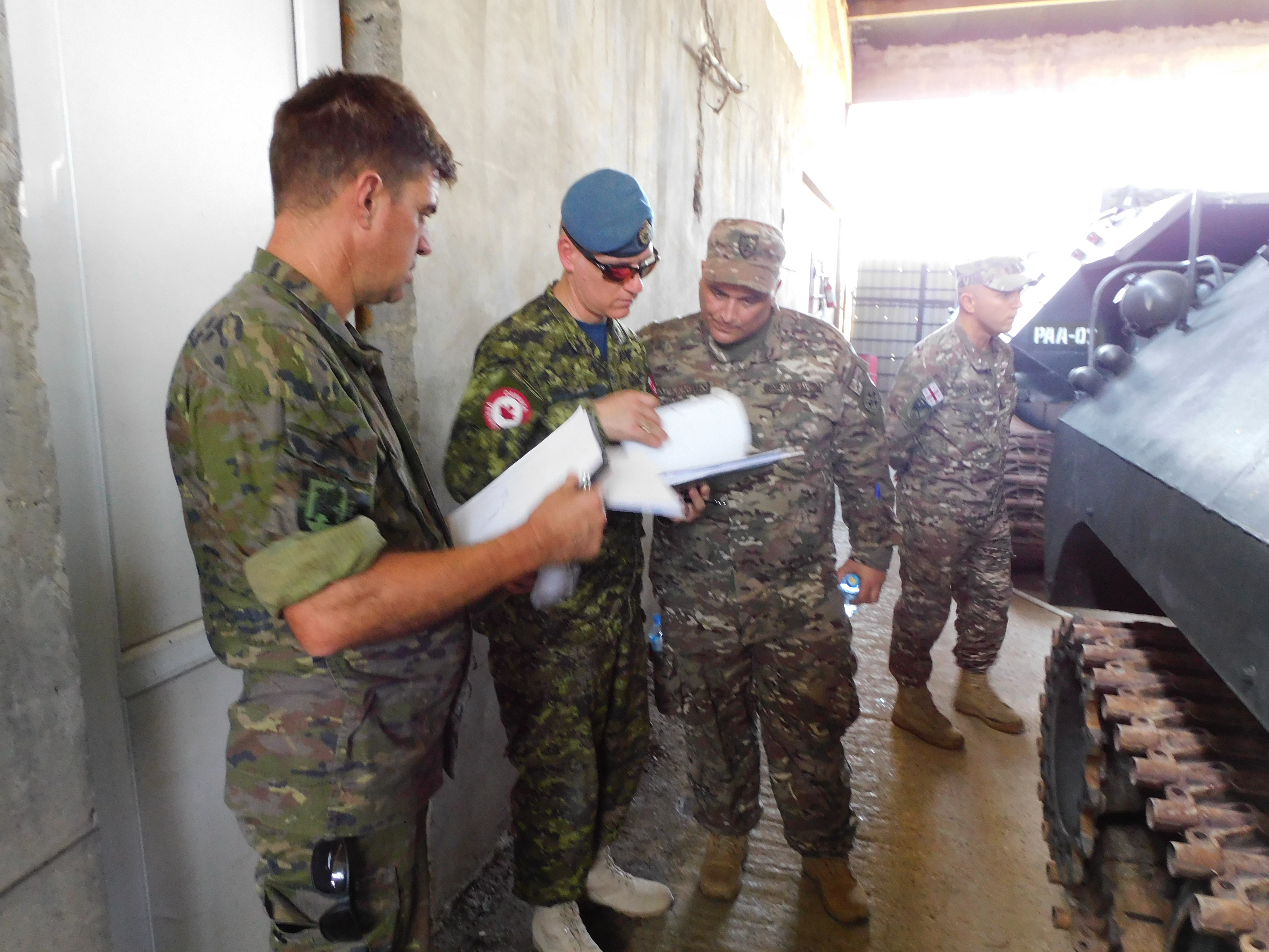 Inspection of the 6th Field Artillery Regiment