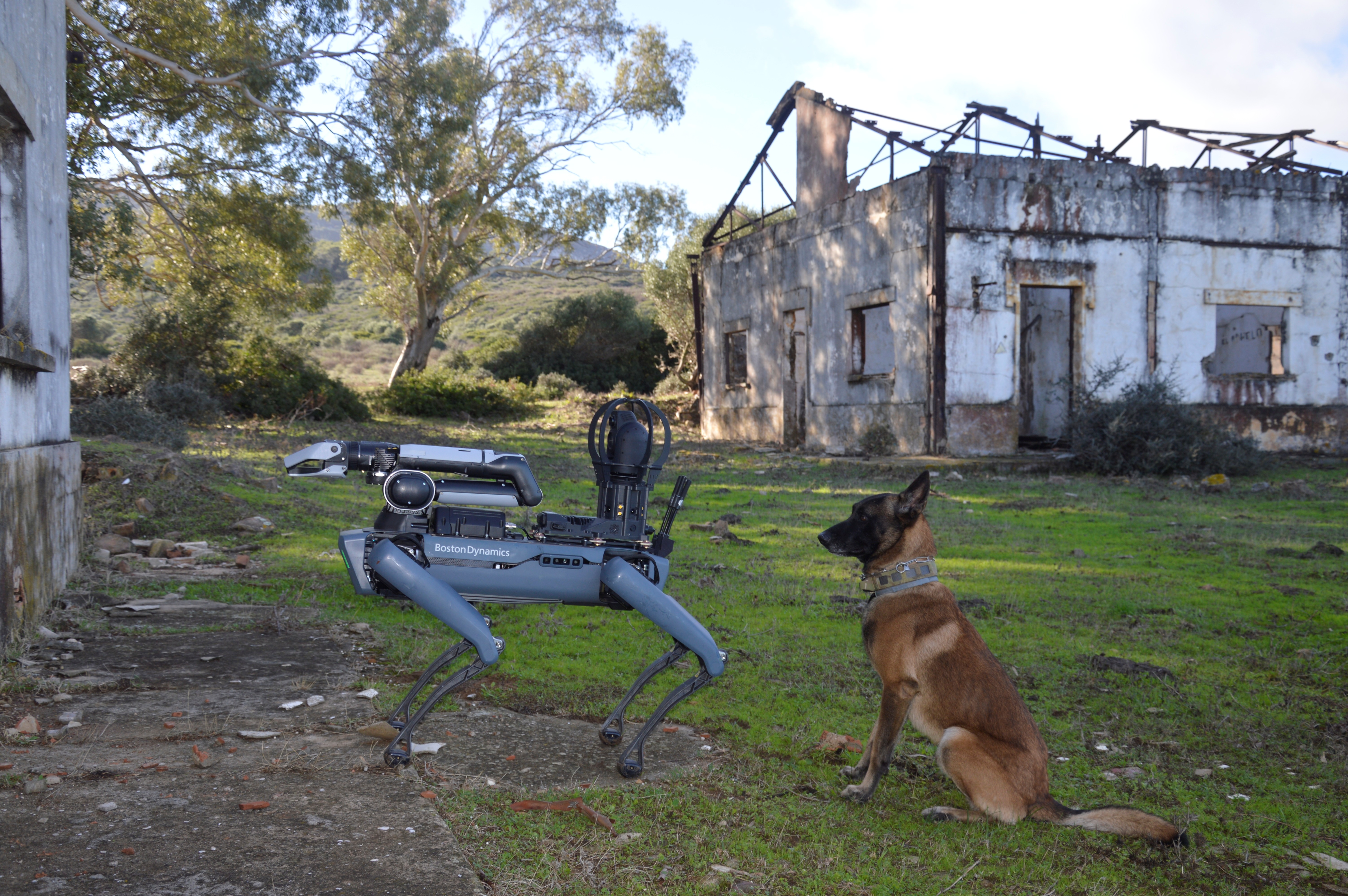 K9 officer ‘Lucas’ shares the stage with the quadrupedal robot